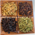 Bulk Packing Healthy Snack Dried Black Raisin